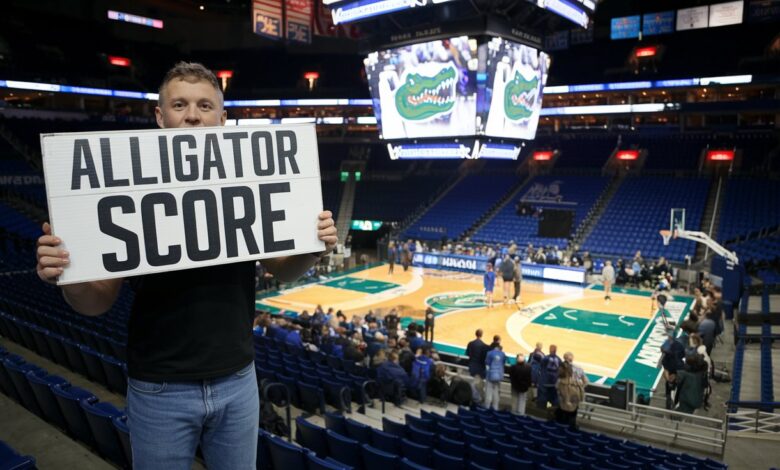 alligator score