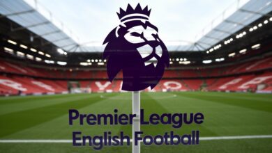 premier league logo