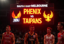 South East Melbourne Phoenix vs Cairns Taipans Match Player Stats