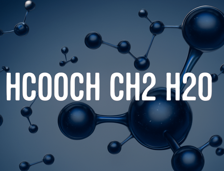 HCOOCH CH₂ H₂O