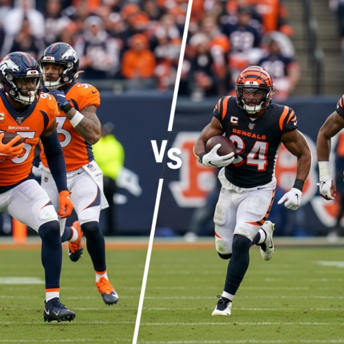 Denver Broncos vs Bengals Match Player Stats