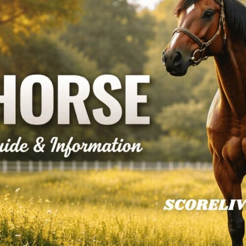 BK Horse: Understanding Owning and Appreciating This Unique Breed