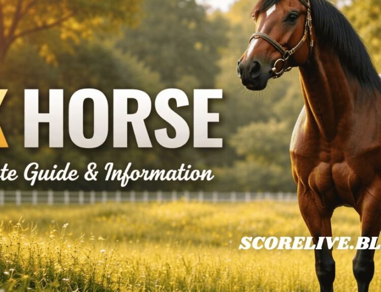 BK Horse: Understanding Owning and Appreciating This Unique Breed